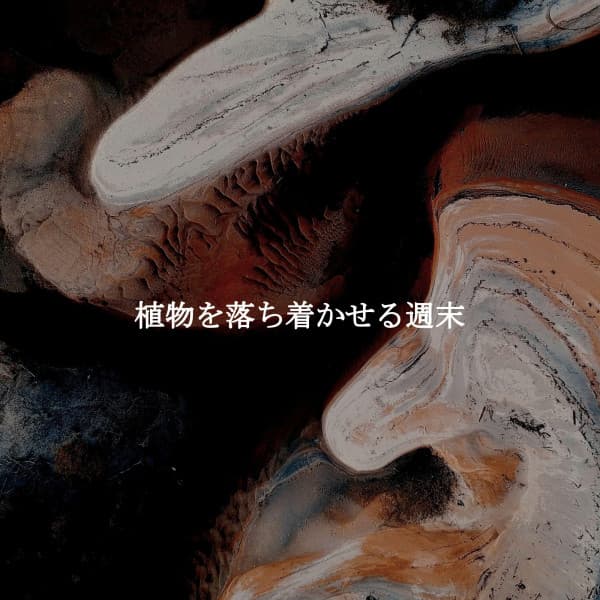 植物を落ち着かせる週末 - Early Morning Chill Out Playlist