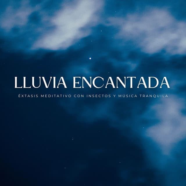 Lluvia Encantada: Éxtasis Meditativo Con Insectos Y Música Tranquila - La lluvia es mi vida