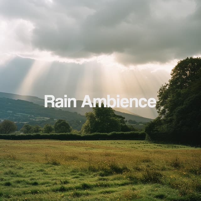 Rain Ambience - Thunderstorm Sound Bank