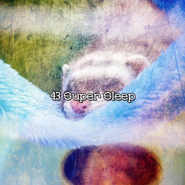 43 Super Sleep - Pet Relax Academy