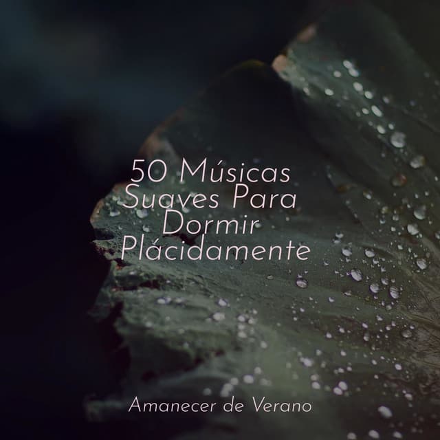 50 Músicas Suaves Para Dormir Plácidamente - Sonido de lluvia