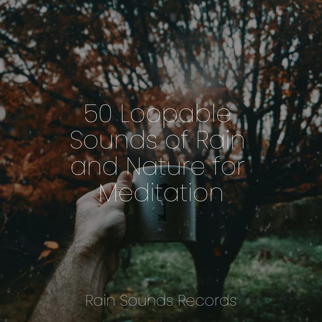 50 Loopable Sounds of Rain and Nature for Meditation - Nature Sound Collection