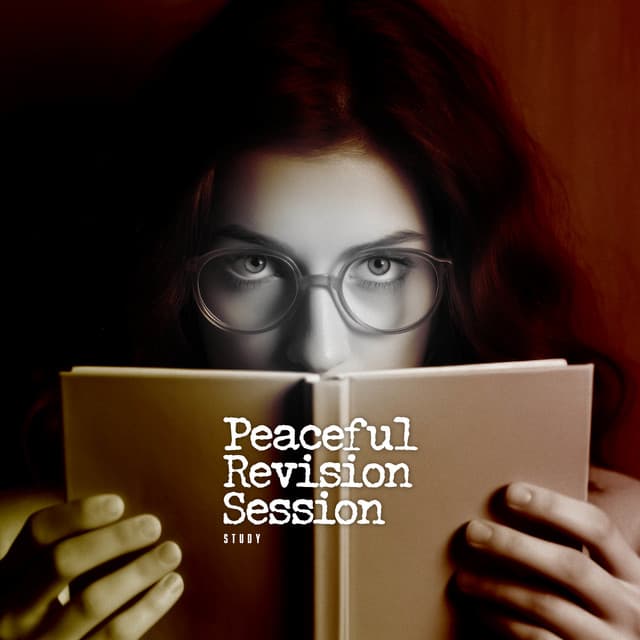 Peaceful Revision Session - Study