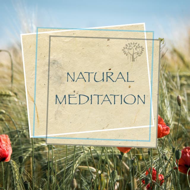 Natural Meditation - Relaxing Spirit
