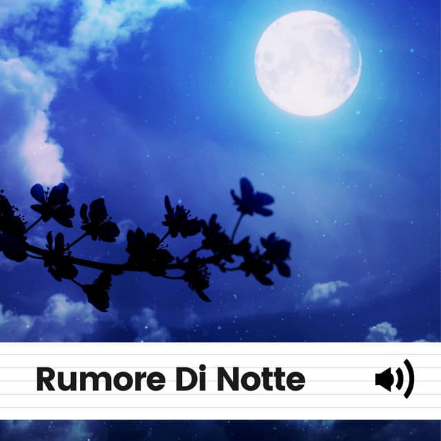 Rumore Di Notte - Rumore Bianco