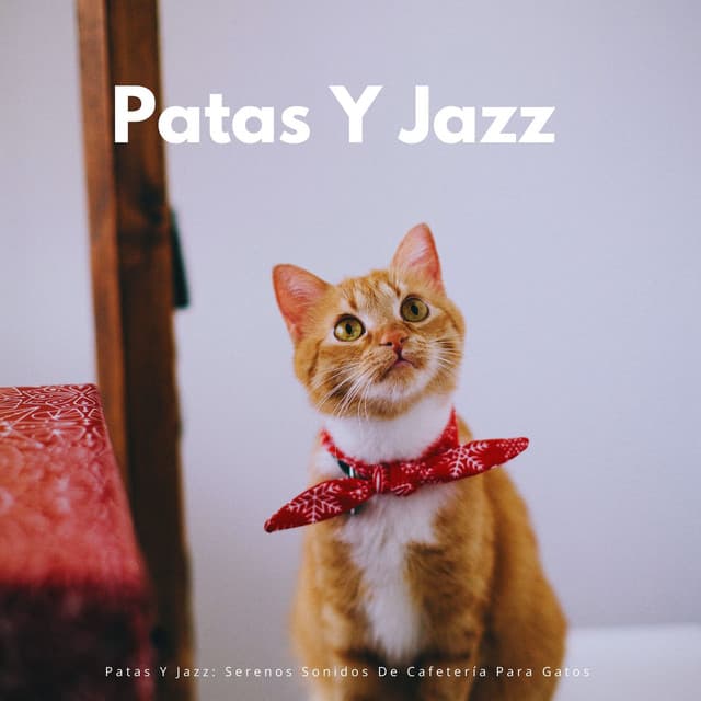 Patas Y Jazz: Serenos Sonidos De Cafetería Para Gatos - Java Jazz Cafe
