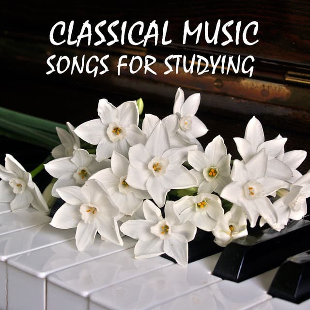 15 Classical Music Songs for Studying - Piano Pianissimo