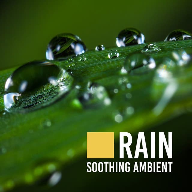 Rain Soothing Ambient - Healing Rain Sounds