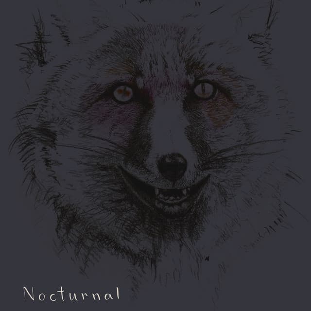 Nocturnal - Jesper Zeuthen
