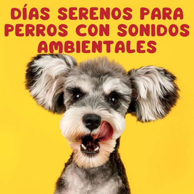 Días Serenos Para Perros Con Sonidos Ambientales - Música para piano