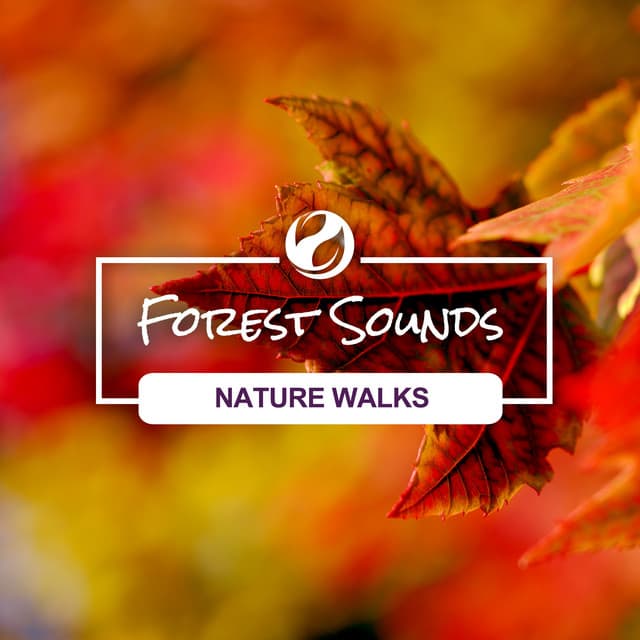 Nature Walks - Forest Sounds