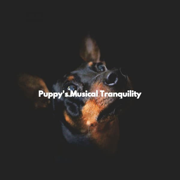 Puppy's Musical Tranquility - Lazy Sunday Jazz