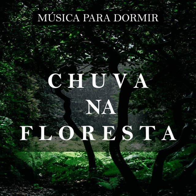 Música Para Dormir: Chuva na Floresta - Sons de Chuva e Trovoadas