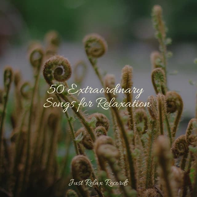 50 Extraordinary Songs for Relaxation - Yoga Music