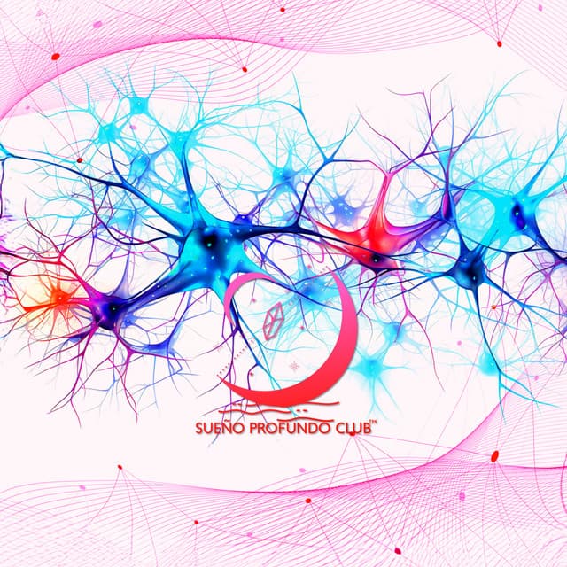 Terapia del Sueño para la Estimulación del Nervio Vago - Sueño Profundo Club