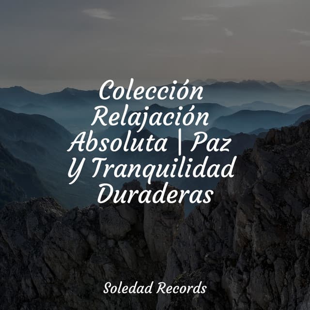 Colección Relajación Absoluta | Paz Y Tranquilidad Duraderas - Masaje Relajante Masters