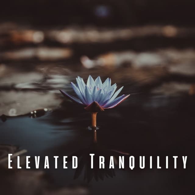 Elevated Tranquility: Chill Music for Guided Meditation - Spirit Minds