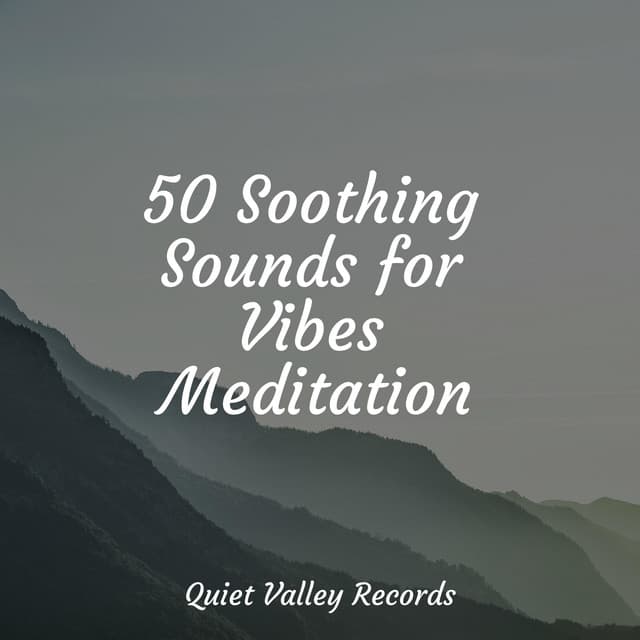 50 Soothing Sounds for Vibes Meditation - Sample Rain Library