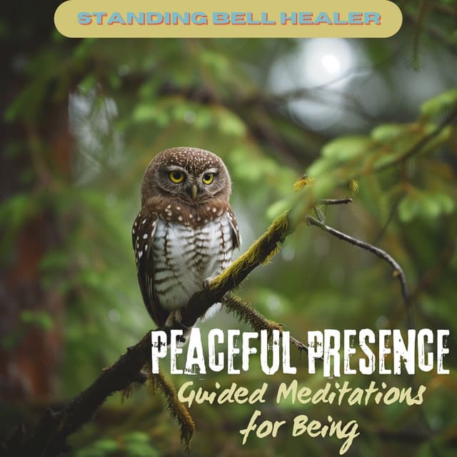 Peaceful Presence: Guided Meditations for Being - Standing Bell Healer