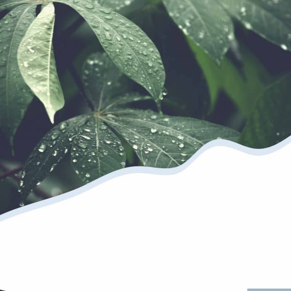 High-class Backdrop for Rejuvenating Seasons - Jazz for Working Playlist