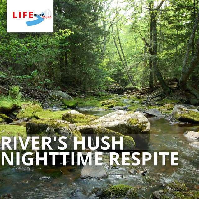 River's Hush: Nighttime Respite - Life River Sound