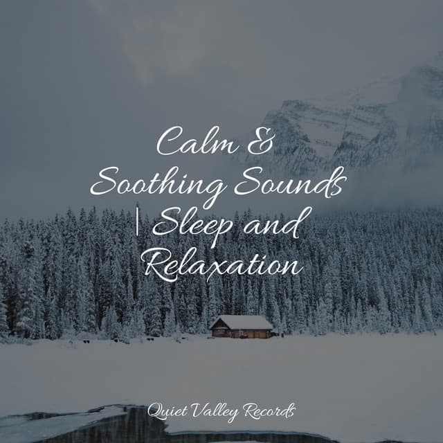 Calm & Soothing Sounds | Sleep and Relaxation - Echoes Of Nature