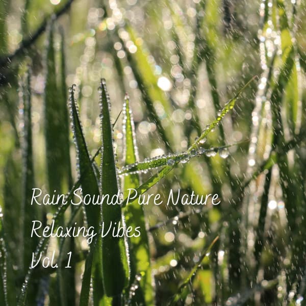 Rain Sound Pure Nature Relaxing Vibes Vol. 1 - Natural Woodland Sounds