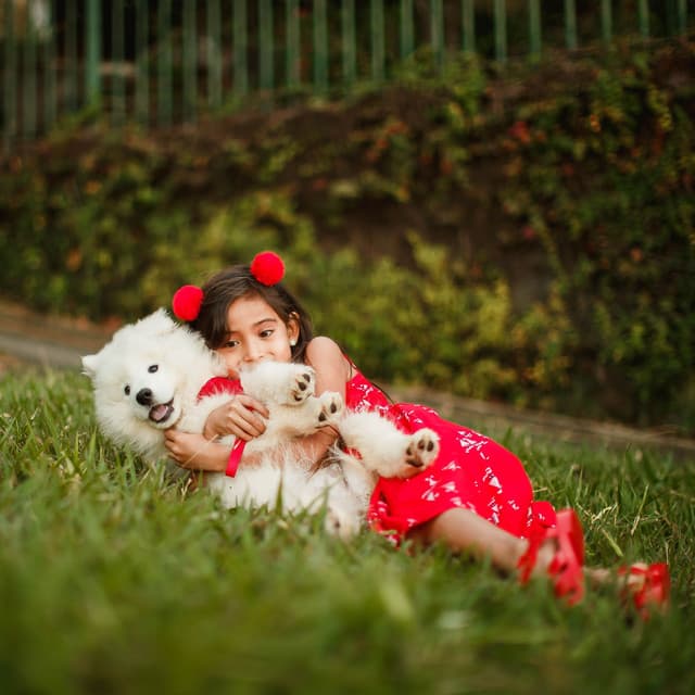 Tranquil Rain Play: Binaural Dog Comfort Serenade - Alm Bark