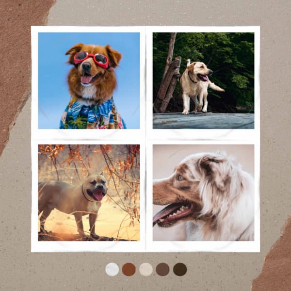 Vibrant Background Music for Doggy Bedtime - Songs for Dogs to Sleep To