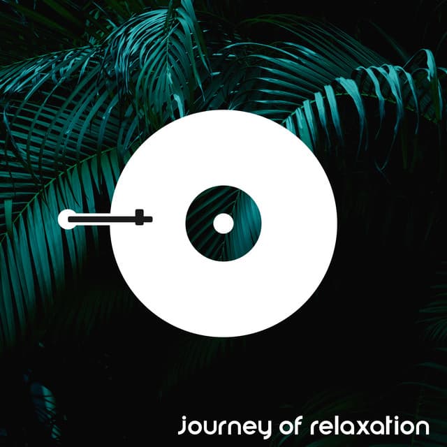 Journey of Relaxation: Exotic Sounds for Deep Relaxation, Mistical Sensation & Chillout - Absolutely Relaxing Oasis