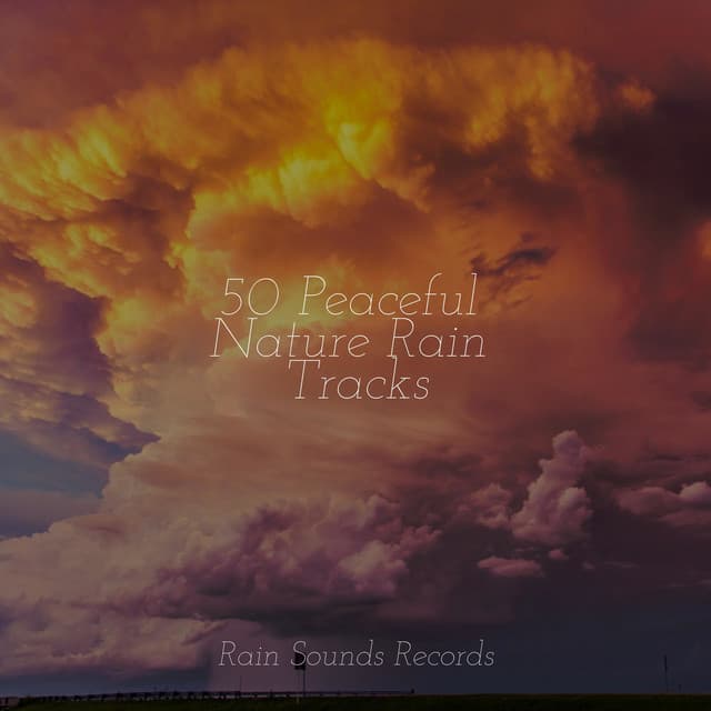 50 Peaceful Nature Rain Tracks - Musica Para Estudiar Academy