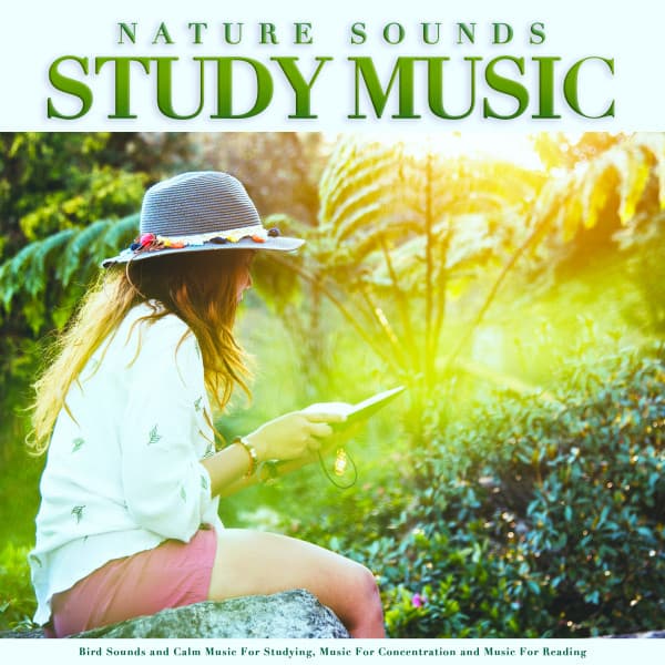 Nature Sounds Study Music: Bird Sounds and Calm Music For Studying, Music For Concentration and Music For Reading - Study Music & Sounds