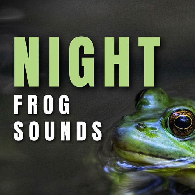 Night Frog Sounds - Frog Sounds