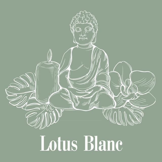 Lotus Blanc: Rayon de Tranquillité - Buddhist méditation académie
