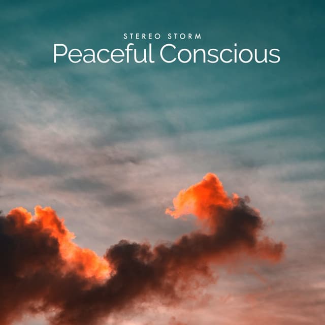 Peaceful Conscious - Stereo Storm