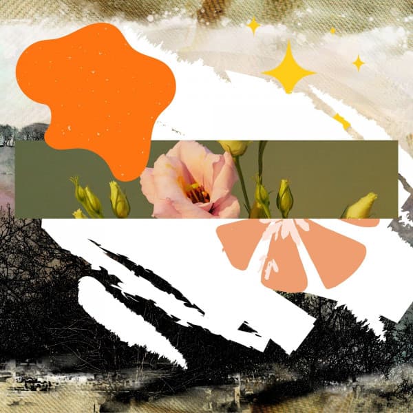 Feelings for Roaring Lounge - Música para Cafeterías