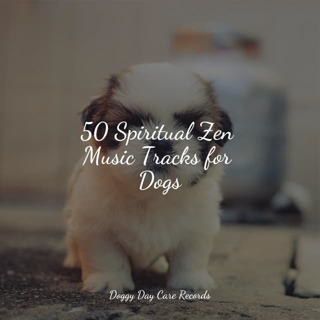 Relaxation Music For Dogs