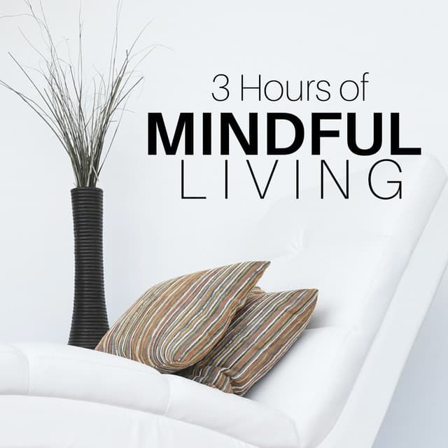 3 Hours of Mindful Living - Meditation Music Ensemble - Deep Zen Ambient
