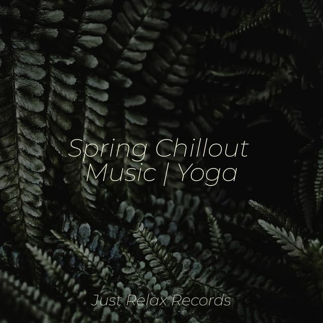 Spring Chillout Music | Yoga - Brain Study Music Guys