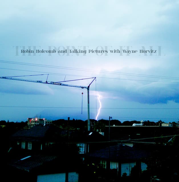 The Point Of It All - Robin Holcomb