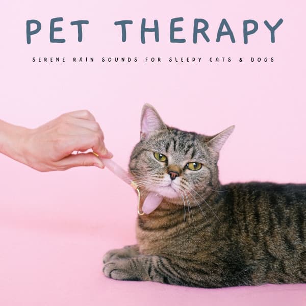 Pet Therapy: Serene Rain Sounds For Sleepy Cats & Dogs - Relaxing Music for Dogs