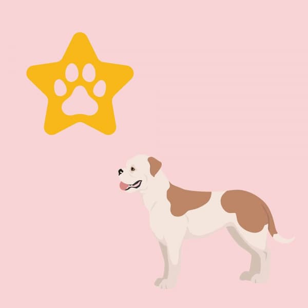 Music for Doggy Discoveries - Puppy Sleeping Sounds