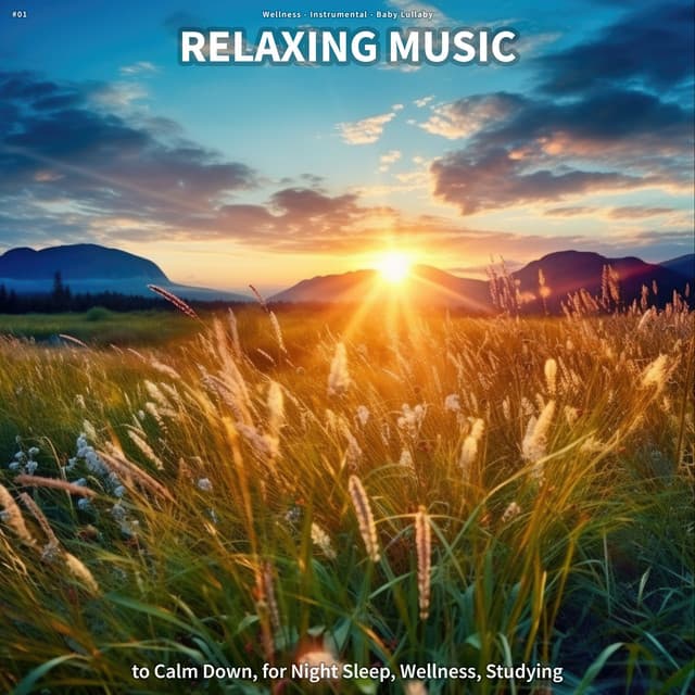 #01 Relaxing Music to Calm Down, for Night Sleep, Wellness, Studying - Wellness