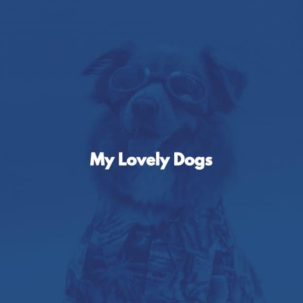 My Lovely Dogs - Classic French Jazz