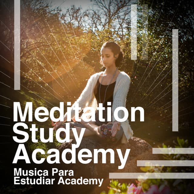 Meditation Study Academy - Musica Para Estudiar Academy