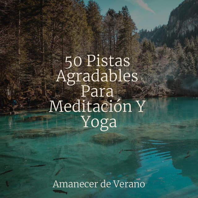 50 Pistas Agradables Para Meditación Y Yoga - Música relaxante