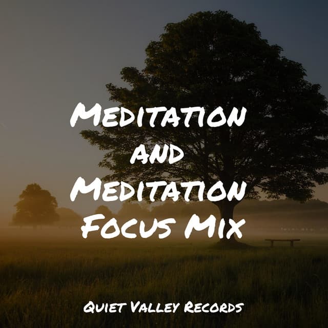 Meditation and Meditation Focus Mix - Sampling XL