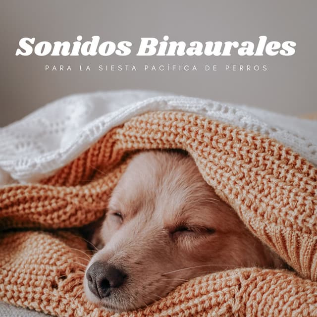 Sonidos Binaurales Para La Siesta Pacífica De Perros - Grabaciones de ritmos binaurales