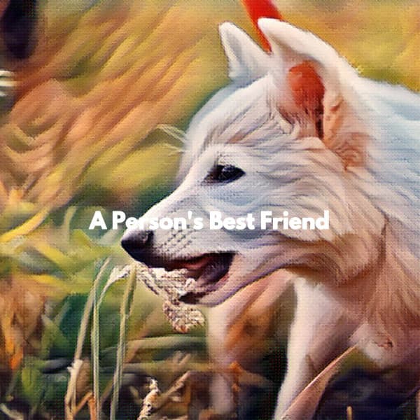 A Person's Best Friend - Jazz Lounge Bar Relaxing