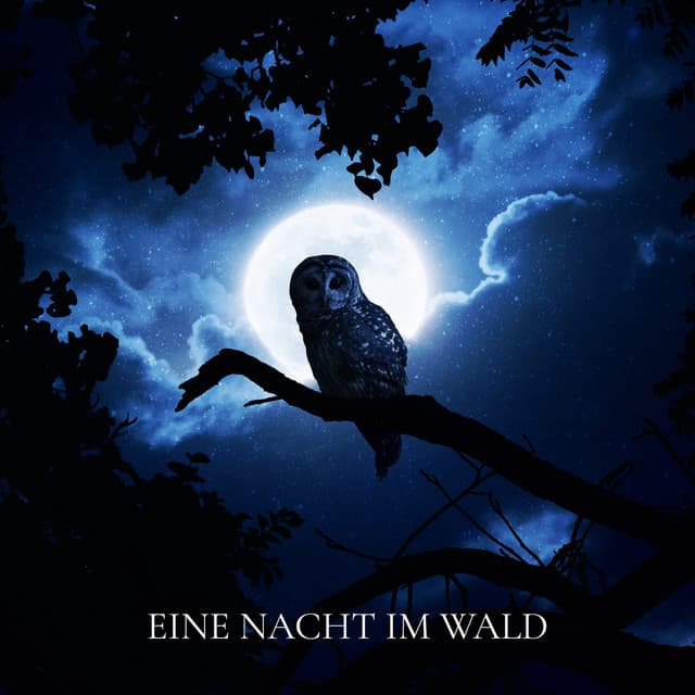 Einschlafen Akademie